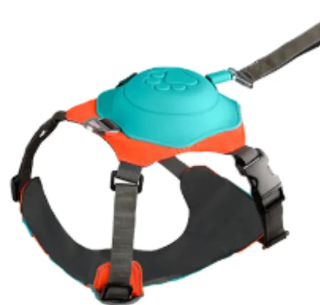 Outdoor Adventure Dog Harness