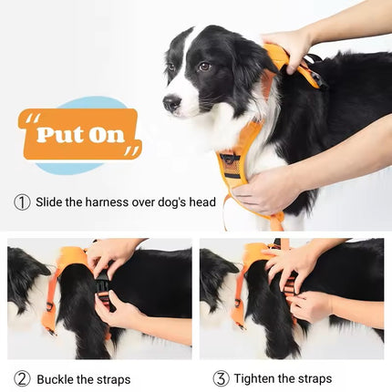 Outdoor Adventure Dog Harness