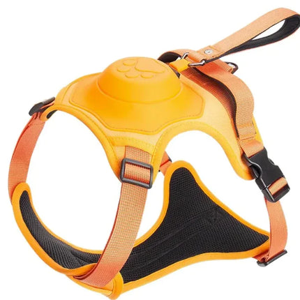 Outdoor Adventure Dog Harness
